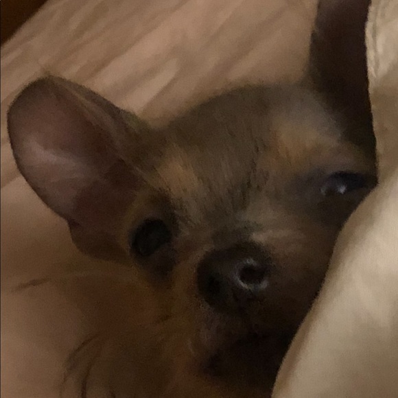 Meet your Posher, Vickie Jean - Picture 4 of 8